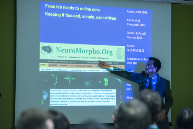 Neural reconstruction database benefits many areas of research