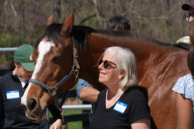 Social work students connect with therapy horses, dogs to learn how to help trauma survivors