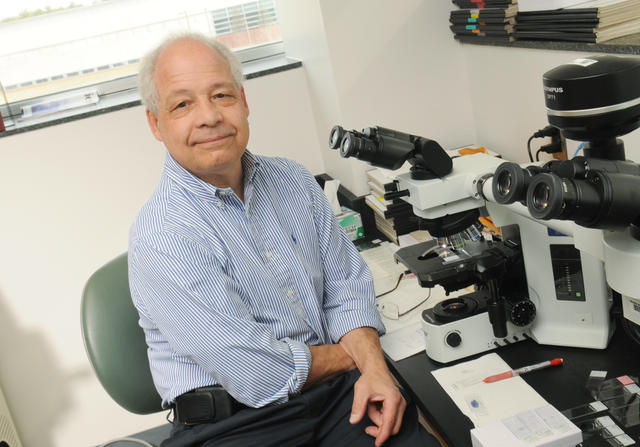 Mason COVID antibody testing shows a lot of promise in the body’s ability to fight the virus