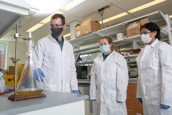 Solomon is first junior faculty member in Chemistry to secure NSF Career Award